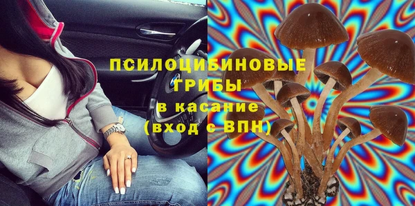 мдпв Балахна