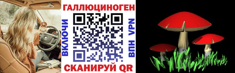 Галлюциногенные грибы GOLDEN TEACHER  Вичуга 